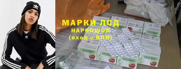 индика Баксан