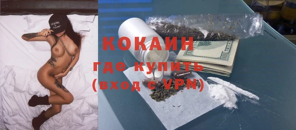 индика Баксан