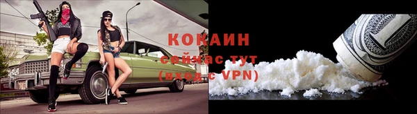 индика Баксан