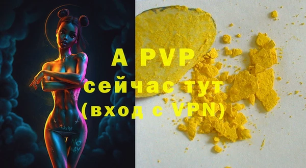индика Баксан
