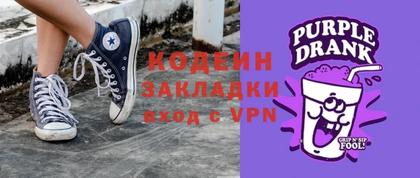 индика Баксан