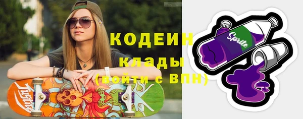 индика Баксан